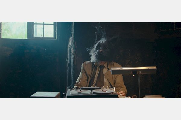 © amerikafilm