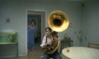Bild