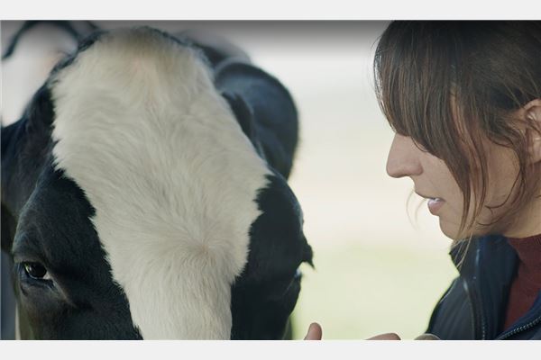 Vaca (© interfilm Berlin)