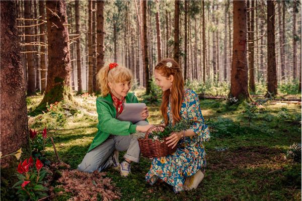 © Wiedemann & Berg Film