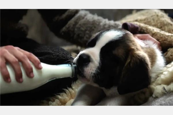 © Atlantis Pictures Ltd.