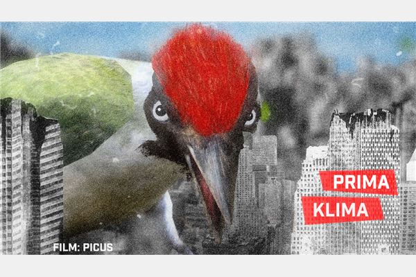 shorts attack JANUAR 2026 (© interfilm Berlin)