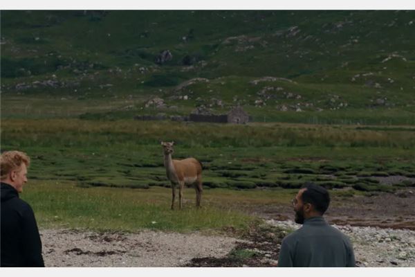 © Tuesday Film / Piffl Medien