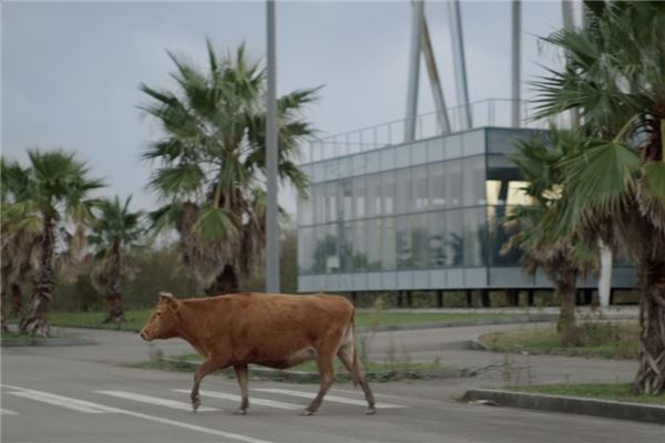 © Tekla Aslanishvili