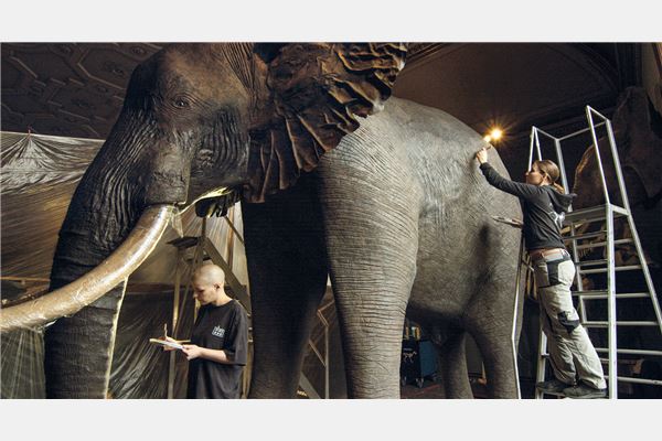 © Navigator Film