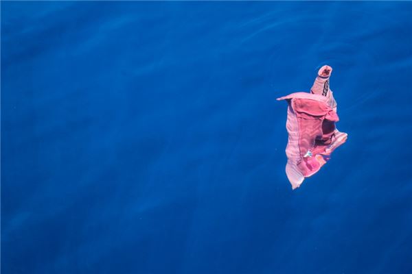 © Giulia Bertoluzzi