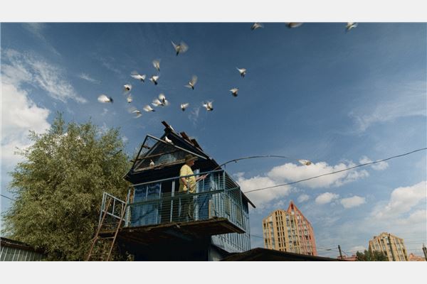 Dovecotes of Kyiv (© uffb)