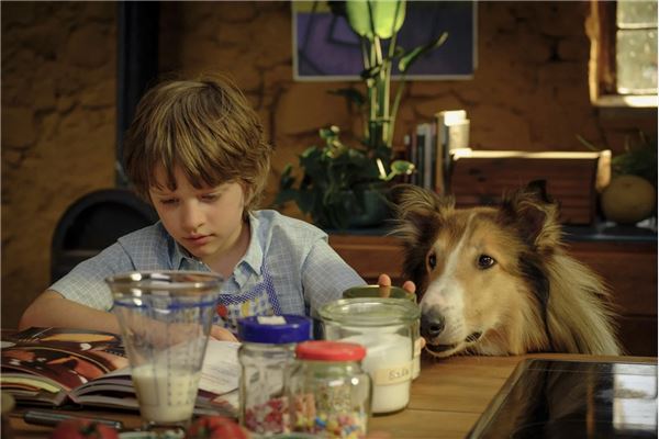 Lassie - Ein neues Abenteuer (2023) - IMDb