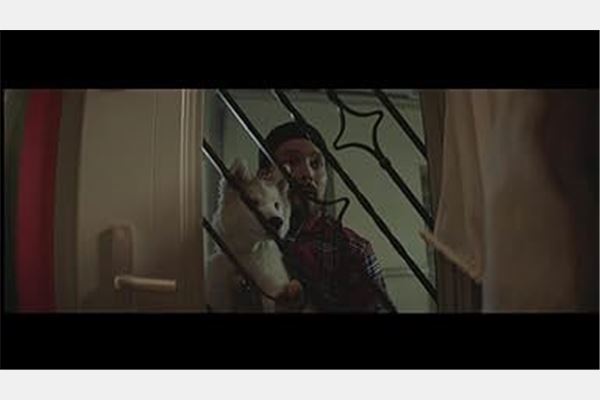 Pashka (© Oltjon Lipe)