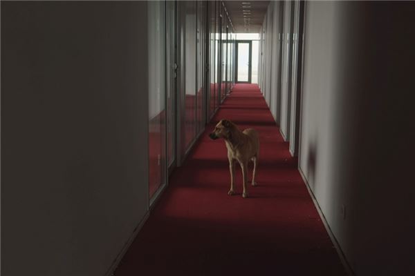 © Tekla Aslanishvili