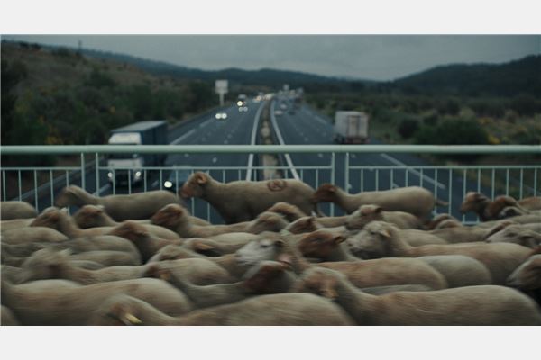 © Film Kino Text 