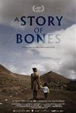 Poster von A Story Of Bones
